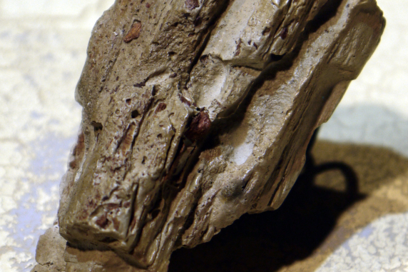 driftwood wood ring