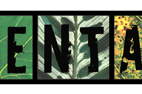 environmentalist bumper sticker