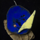 add on different colors and shapes enamel jewelry