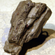 stunning concrete ring driftwood wood ring