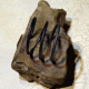 steel wire shank industrial ring