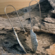 hypo allergenic stainless steel ear wires ooak sterling silver earrings